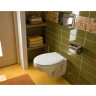 Комплект GEBERIT DUOFIX 458.124.21.1 UP100 с подвесным унитазом KOLO IDOL M1310000U с крышкой-сиденьем