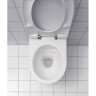 Комплект инсталляции GEBERIT DUOFIX 458.124.21.1 с клавишей смыва Delta 21подвесным унитазом RENOVA 203050000 безободковый хром глянец и крышкой-сиденьем микролифт RENOVA 573025000