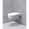 Комплект инсталляции GEBERIT DUOFIX 458.128.21.1 с клавишей смыва DELTA51 хром подвесным унитазом RENOVA PREMIUM безободковый 203070000 и крышкой-сиденьем микролифт RENOVA 573025000