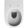 Комплект инсталляция GEBERIT DUOFIX DELTA 500.103.DW.R с подвесным унитазом RENOVA с сиденьем микролифт и клавишей