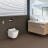 Унитаз-биде подвесной GEBERIT AQUACLEAN 146.294.SJ.1 стекло черное