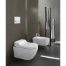 Унитаз-биде подвесной GEBERIT AQUACLEAN TUMA COMFORT 146.294.SI.1 безободковый панель белое стекло