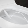 Унитаз-биде подвесной GEBERIT AQUACLEAN TUMA COMFORT 146.294.SI.1 безободковый панель белое стекло